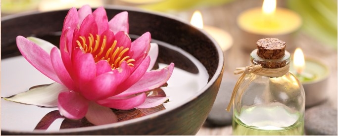 Lotus Massagestudio in Frankfurt am Main — brothel and erotic club